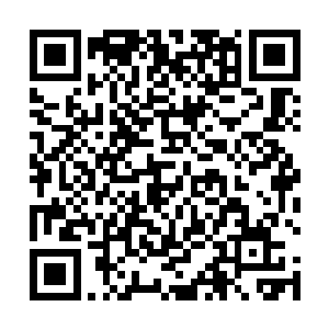 不知道你是否知道魔族这次出动了多少人到你们百花派二维码生成