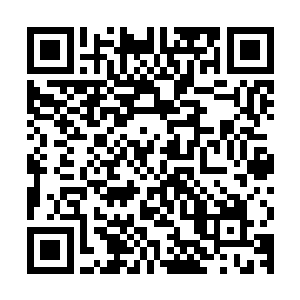 不知道你还会不会觉得在这未来的金海城中占一点股份算步子大二维码生成