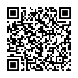 不知道又会在临海市的权力场上掀起怎样的腥风血雨……二维码生成