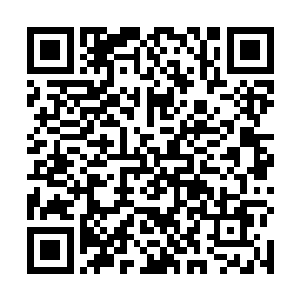 不知道可以兑换食物……那些干粮吃的他们眼睛都绿了二维码生成