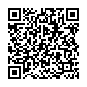 不知道咱们的南宫哥哥有没有稍微一点点的感动呢二维码生成