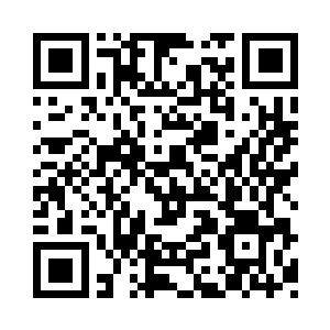 不知道在承受了血河之主如此全力的一击后二维码生成