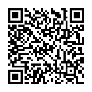 不知道在接下来的校园生活中又会发生怎样的事情二维码生成