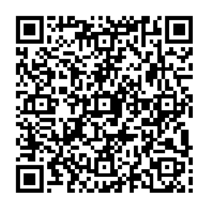 不知道外面的行情是怎样……反正苏小爱认为小雨和霸天两人的工资也就几千块钱二维码生成