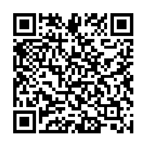 不知道多少天才绝艳之辈被卡在九星圣级巅峰的层次二维码生成