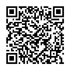 不知道多少本来平凡的生灵在这一刻生出了灵智二维码生成