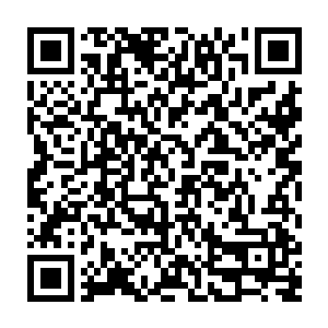 不知道大伯母如果知道俊哥入学第一天就在桌子上睡得流口水了会如何感想二维码生成