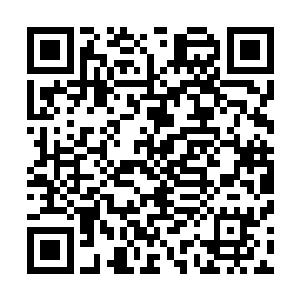 不知道大周的人会不会介意自己拿他们的强者尸体凝血兵呢二维码生成