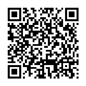 不知道小家伙们对付白莲五品以上的修士有没有用二维码生成