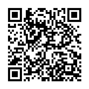 不知道张丽敏是从哪里知道她将来死了之后还能留下钱的二维码生成