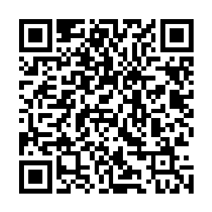 不知道张铁师弟所说的过了潜龙堂众位师兄弟这一关是何意二维码生成