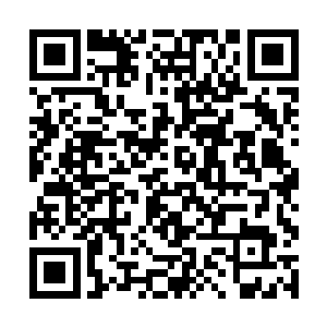 不知道彼得在失去一条腿后还能有之前几分的行动力二维码生成