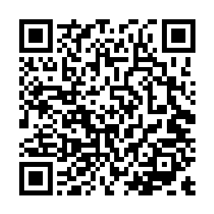 不知道怎么的想起当初丫鬟跟她说的外面流传的一个八卦二维码生成