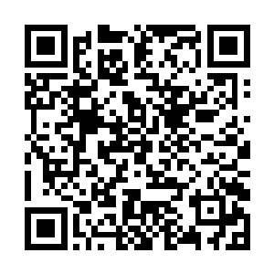 不知道您这首歌的女主人公也就是林月如最后怎么了二维码生成