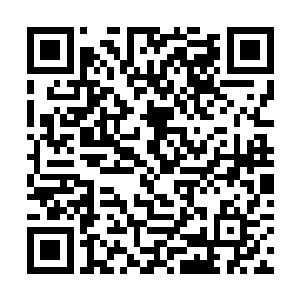 不知道我们炎黄世纪影视集团终止与你们的合作项目二维码生成