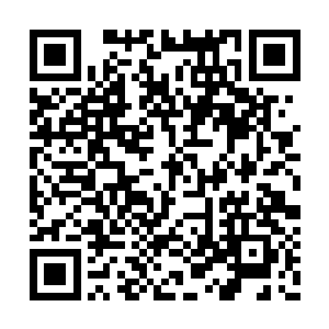 不知道是不是众兽见到到某主人丰富的面部表情二维码生成