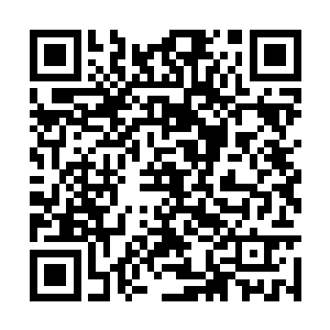 不知道是不是因为上了三节课一个个都疲惫的很了二维码生成