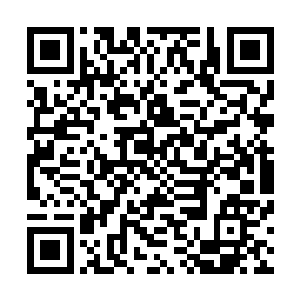 不知道是不是因为自己之前将九星名目草的任务交给五长老二维码生成