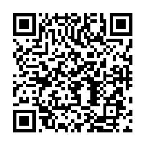 不知道是不是摩天之界的灵气太过浓郁充沛还是别的原因二维码生成