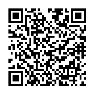 不知道是不是老者的倾力一击把这些妖魔都给震慑住了二维码生成