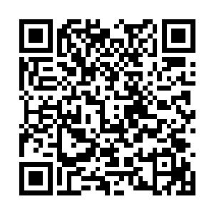 不知道是不是这些穿沙甲也了解这些污染沙的威力二维码生成