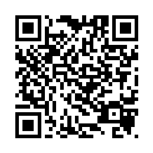 不知道是什么符兽飞行速度那么快二维码生成