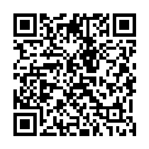 不知道是在否认凯文的辩解还是质疑一个小孩为什么能把二维码生成