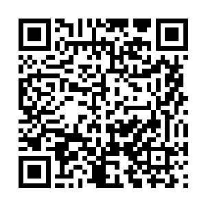 不知道是有意还是无意竟然也把战团向森林内转移二维码生成