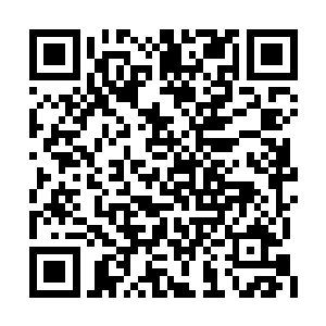 不知道是梓箐的拥抱的力量还是语言安慰的效果二维码生成