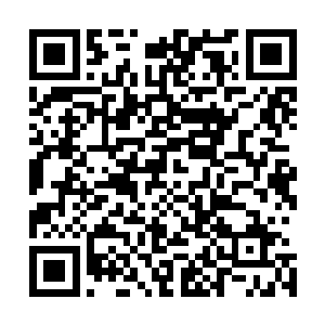 不知道是睡觉恢复了体力还是喝了那个珍珠果的汁液管了事二维码生成