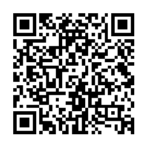不知道是第一次前往十方城被吓坏了还是因为明确知道非常危险二维码生成