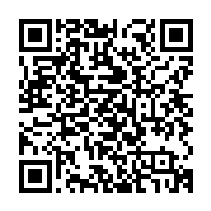不知道是被梓箐打老实了还是他被他那个圈子的人彻底挤了出来二维码生成