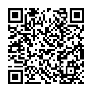 不知道是说秦洛摸她的脸无聊还是说红衭的话无聊二维码生成