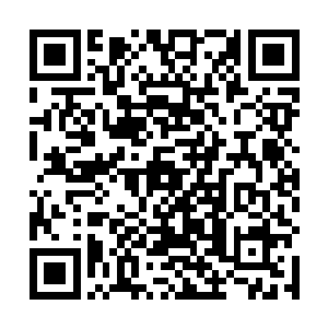 不知道是震憾于这个老师所表现出来的煅骨高阶的实力二维码生成