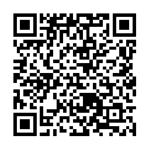 不知道有多少人族强者被活生生困死在了寂灭之森二维码生成
