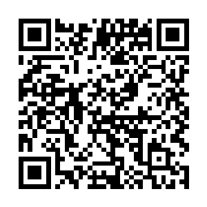 不知道杨开带来了什么东西居然能引起杨镇这般重视二维码生成