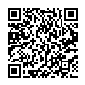 不知道枪哥为什么会忽然又提起马格里斯交给她的爱情咖啡二维码生成