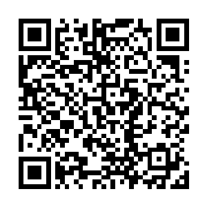 不知道渔翁前辈能不能告诉晚辈为何你们这么需要封魔果呢二维码生成