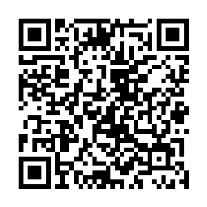 不知道灵兰让自己把那两样东西给送到龙焰池是什么意思二维码生成