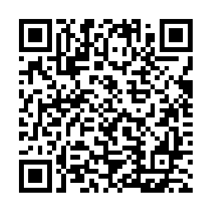 不知道现在你想起怎样给我办好墓地审批的方法了吗二维码生成