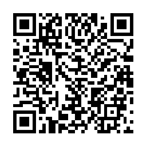 不知道等一会儿江老爷子通天教坛主的身份暴露出来之后二维码生成