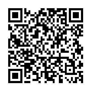 不知道精于享受的樱樱能不能尝得出来这道茶是怎样煮出来的二维码生成