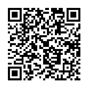 不知道肚子里的小家伙是真的听懂了还是感觉到了他阿母的想法二维码生成