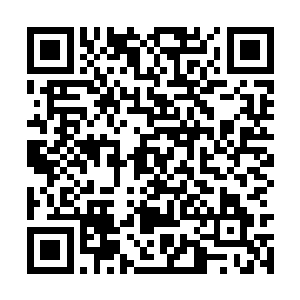 不知道自己已经从巴克的铁手前飘过一回的沈崇明二维码生成