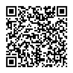 不知道这一次的菩提古树的出现能吸引多少苍穹天宇的庞然大物的注意二维码生成