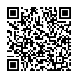 不知道这一次阁下准备给本座送什么宝物来赎自己的小命呢二维码生成