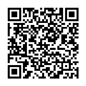 不知道这个混血小美女相伴的年青人在凌云集团内二维码生成