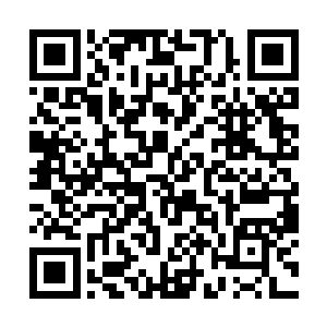 不知道这次柯董需要多少资金才可以挽回红河的几局二维码生成