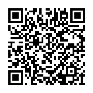 不知道这血魔神是不是和徐虎的记忆混在一起了二维码生成