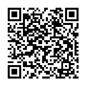 不知道那个小世界原本所在的主世界又是何等模样二维码生成